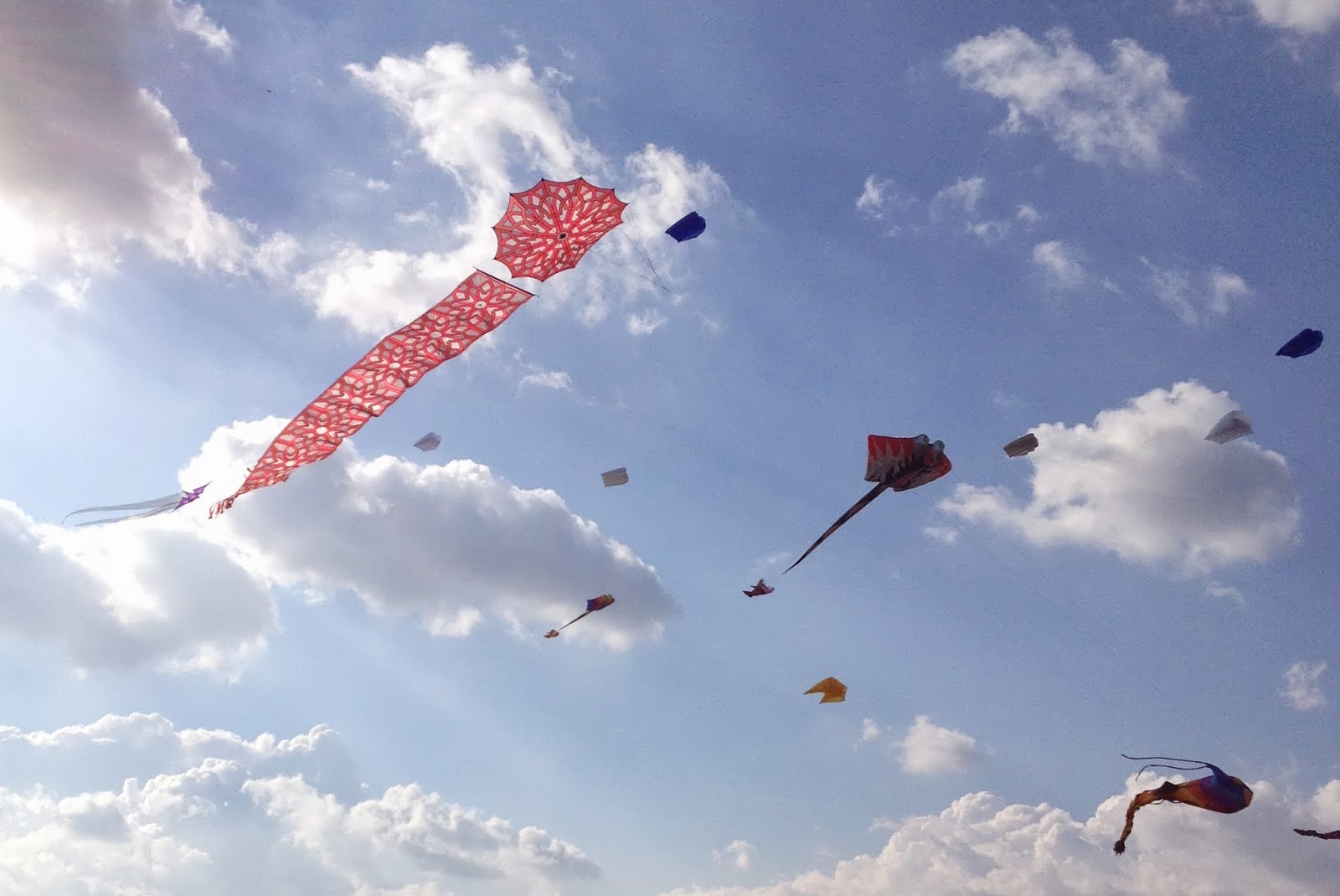 The Cabbages of Doom Portsmouth Kite Festival