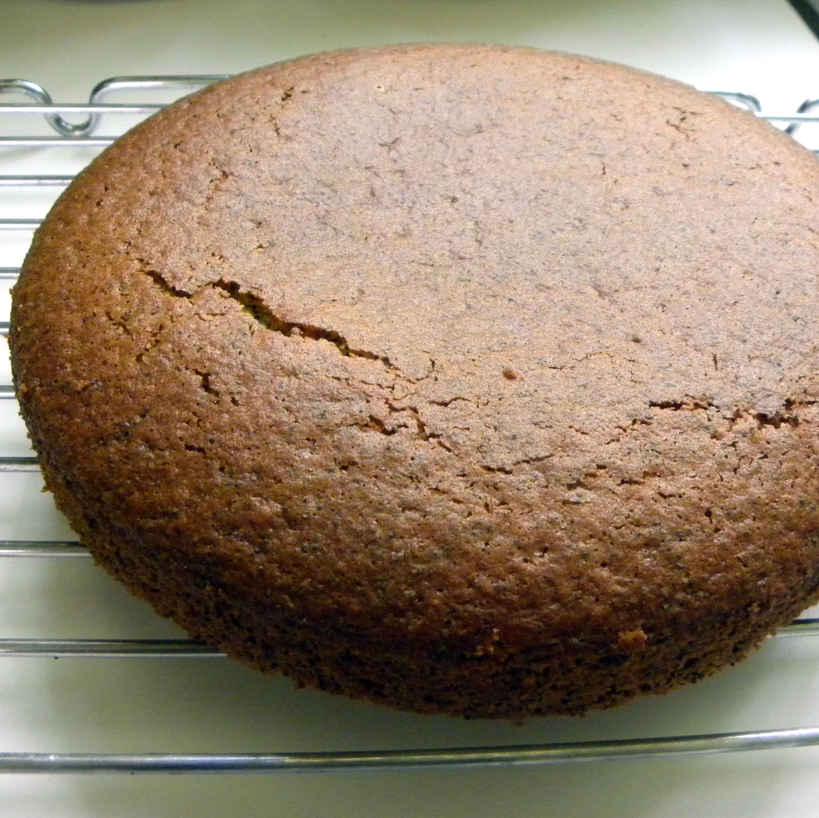 Cook's Cache Orange Poppy Seed Olive Oil Cake