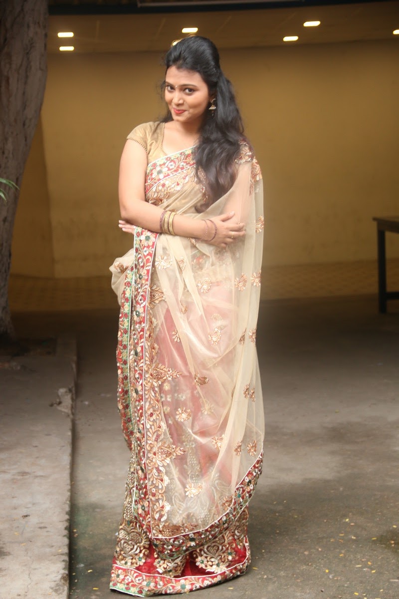 telugu heroine neha photos new telugu heroine neha photos in saree telugu heroine neha photos new telugu heroine neha photos in saree