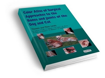 What Happens When Lightning Hits Your Car? The Weather