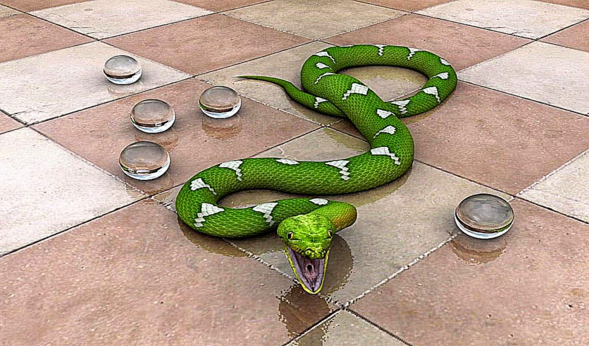 3D Snake and Ball Wallpaper 3d ball wallpaper snake wallpaper 3D Snake and Ball Wallpaper 3d ball wallpaper snake wallpaper