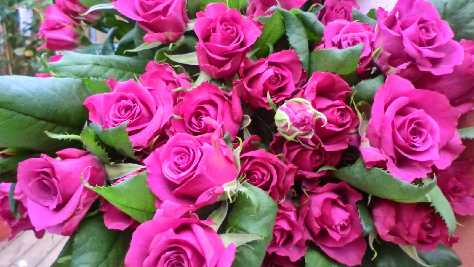 Les Fleurs Langage Universel Du Coeur Tropics Magazine