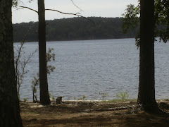 Beautiful Lake DeGray