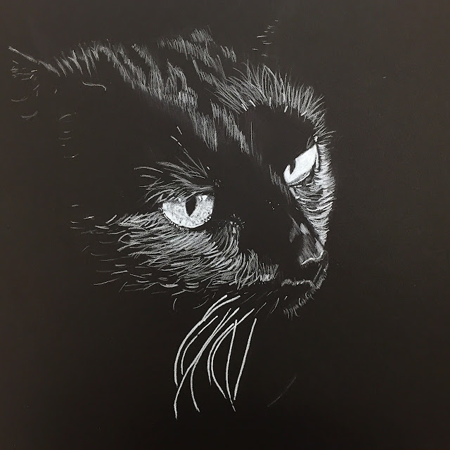 drawing white color pencil on black jennifer cameron