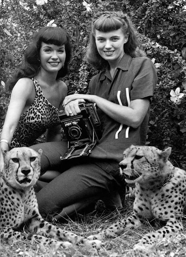Ominous Octopus Omnibus: Catwoman Bettie With Cheetahs and Bunny Yeager