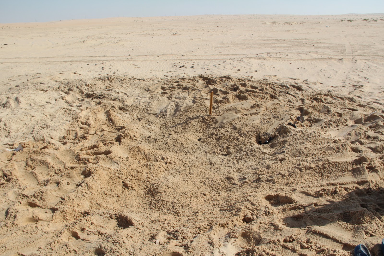 Saudi Scenes Sand Roses