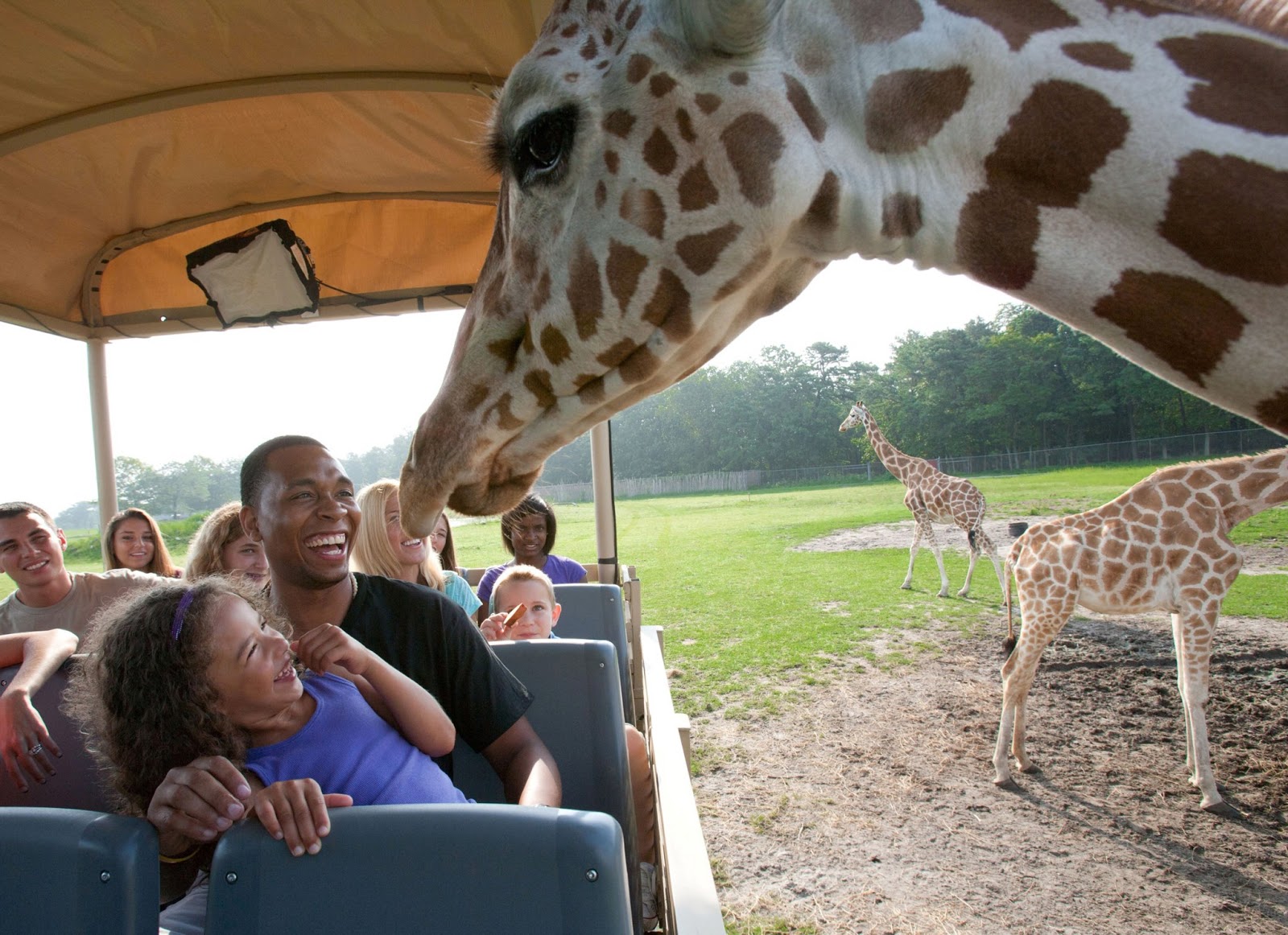 Six Flags Great Adventure inaugure Safari Off Road Adventure
