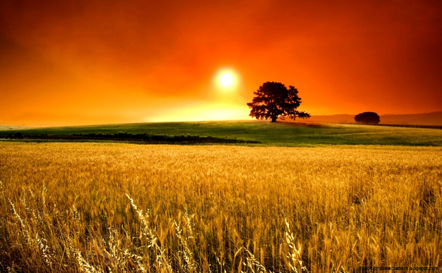 Beautiful Nature PHotography Wallpaper HQ Backgrounds HD Beautiful Nature PHotography Wallpaper HQ Backgrounds HD