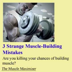 maximize muscle