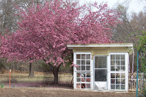 Window Greenhouse