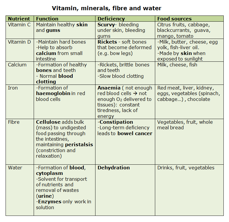 34. Other Nutrients Vitamins, Minerals, Fiber and Water Biology