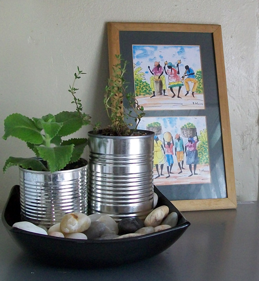 DiDa Design Studio DIYIndoor Tin Can Planter