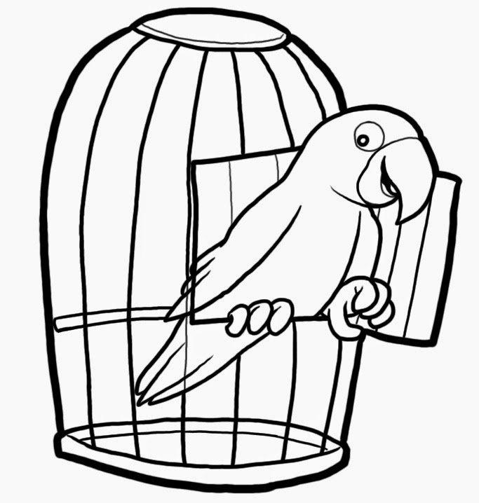 Critical Thinking Puzzles Parrots and Cages Puzzle