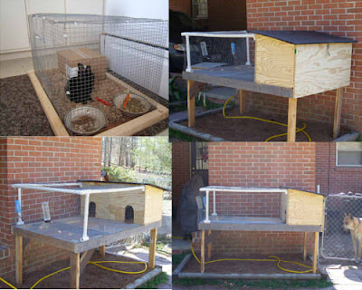 rabbit hutch build plans diy hutches cage bunny building rabbits cages budget creative frame legs freeww single keeping step planspin