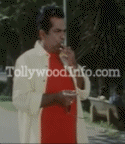 brahmi gifs