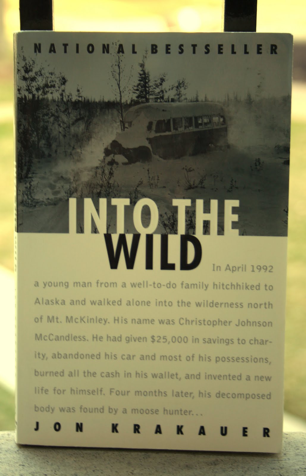 Book report on into the wild