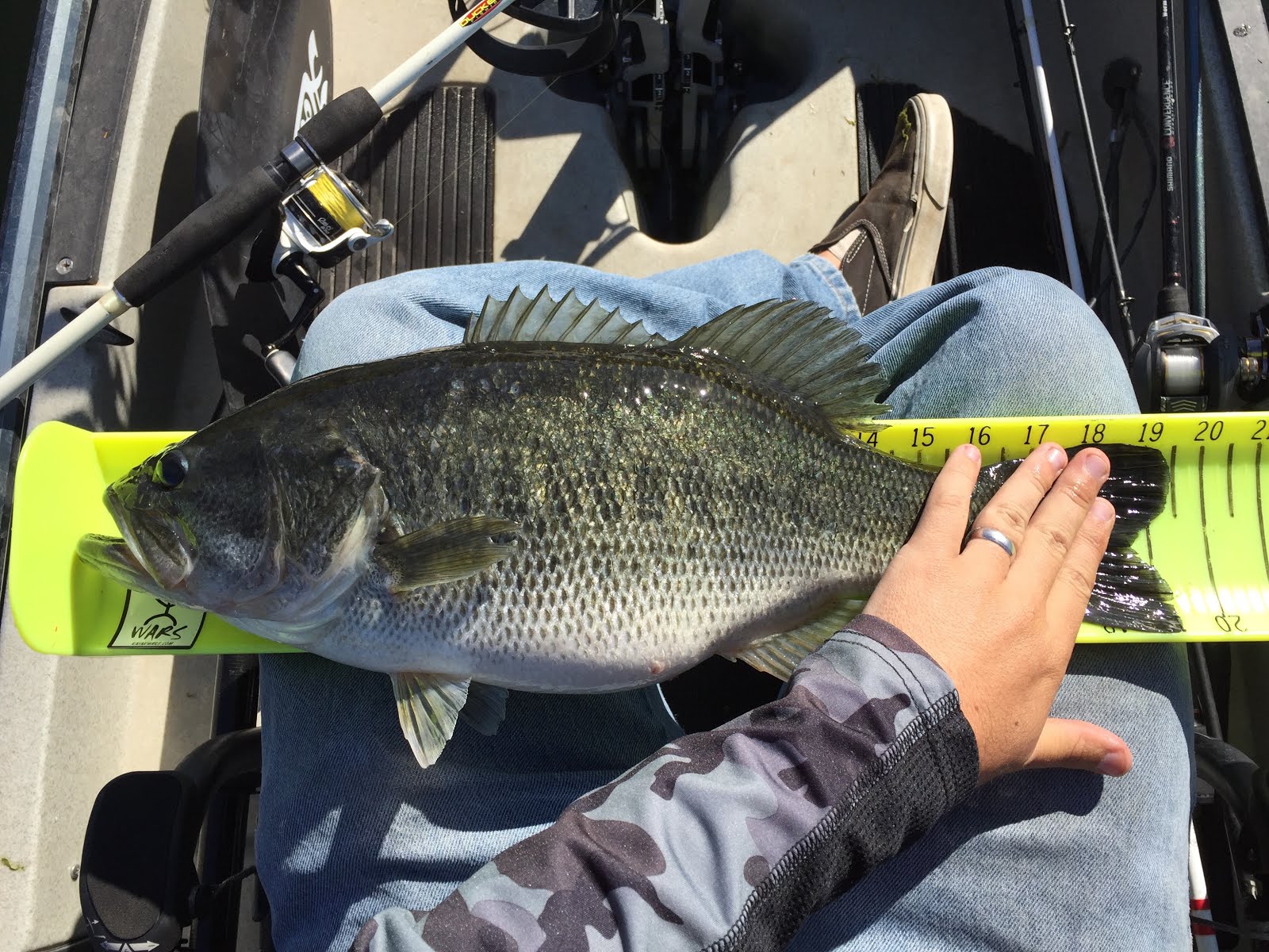 Lucky tackle box coupon code