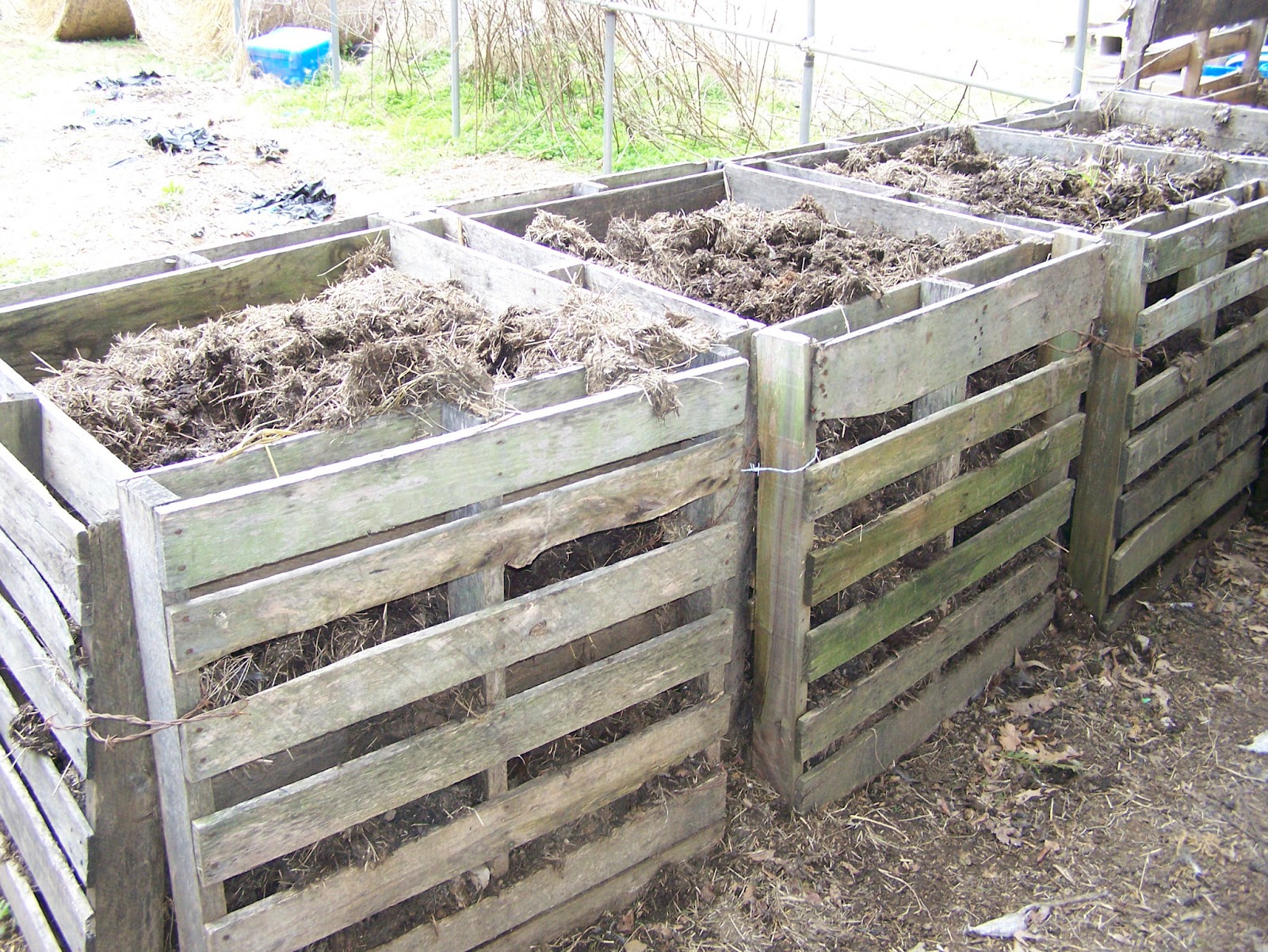 Raised Bed Gardening in Arkansas 6062012 Machinations of Compost