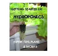 A to Z of Hydroponics