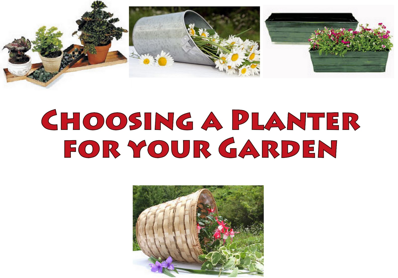 Bucket Outlet Choosing a Planter for your Plants