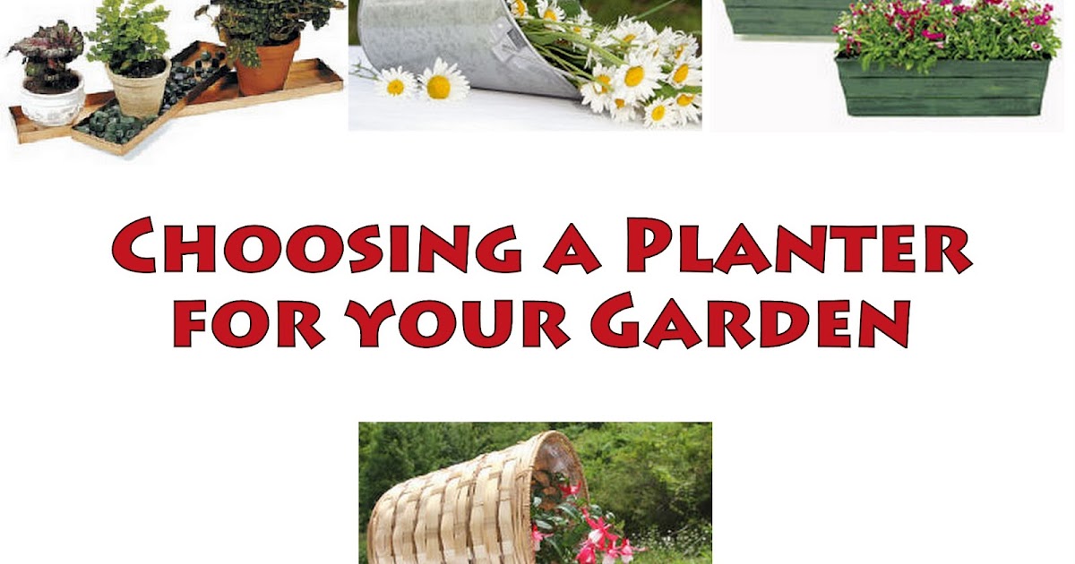 Bucket Outlet Choosing a Planter for your Plants