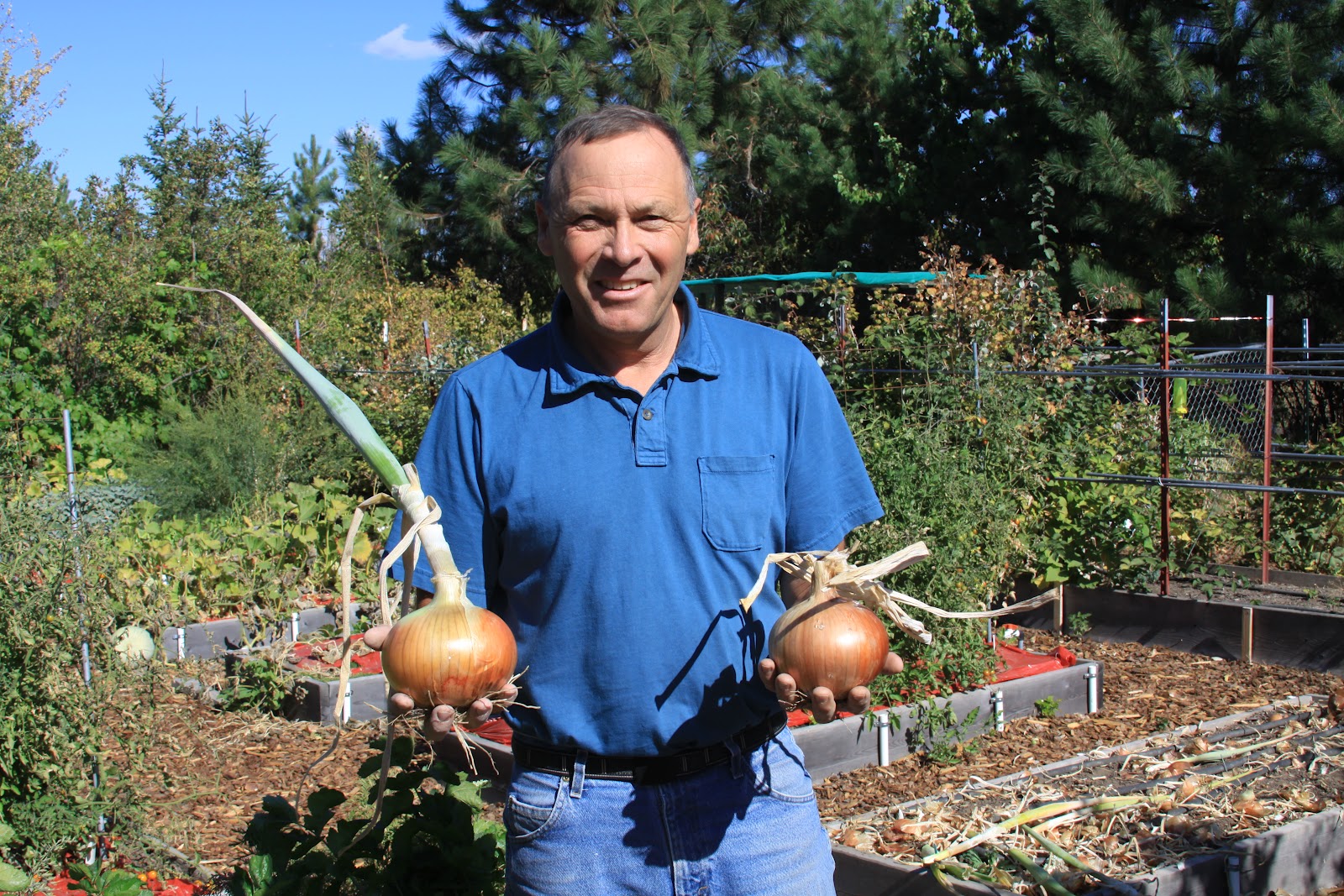 Thanksgiving in niagara on the lake