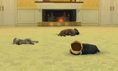 Nintendogs how to train for agility