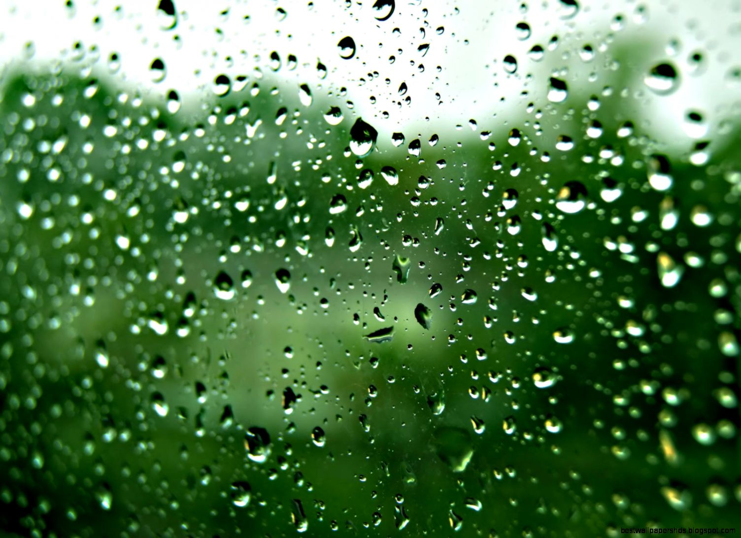 Raindrops On Glass Raindrops On Glass