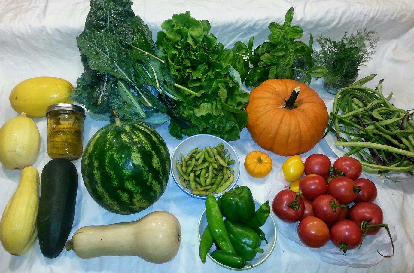 Leafy Greens Farm Buy It Now