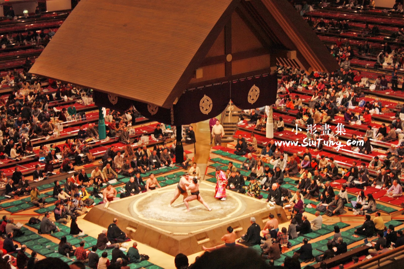 小彤畫集 兩國相撲國技館 東京style社區旅行團 下 親身看相撲賽