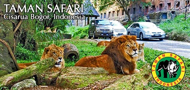 Taman Safari Indonesia Cisarua Bogor Tempat Wisata Terindah