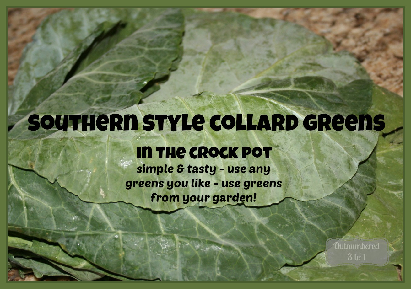 Crock Pot Southern Style Collard Greens Outnumbered 3 to 1