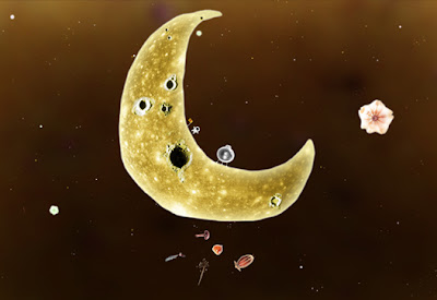 Game of the year Botanicula