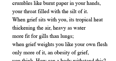 Sometimes I Do Things .. Sometimes I Don