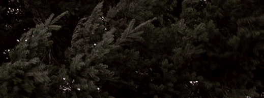 1_trees1.gif
