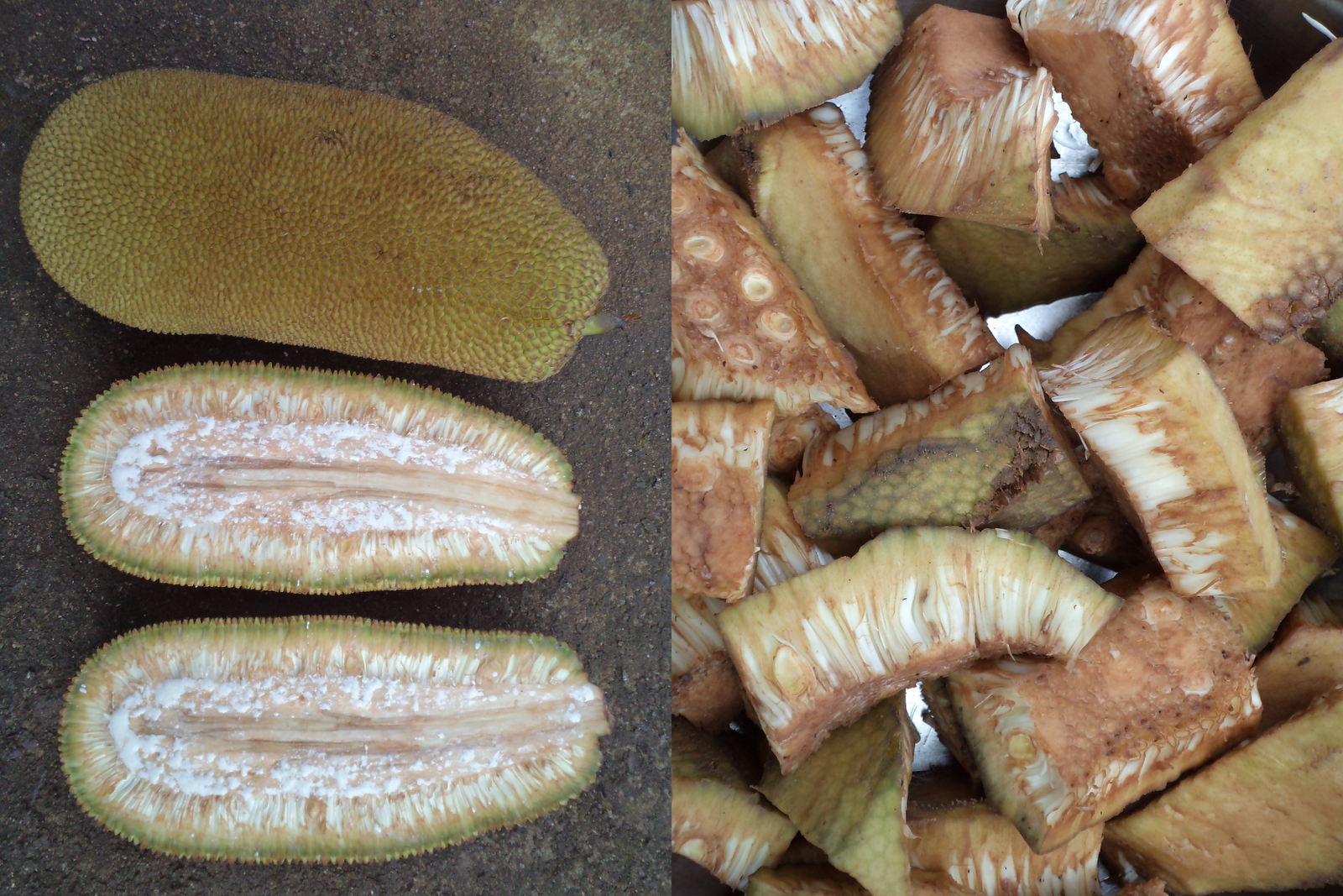 Unveil the flavours Raw Jackfruit Raita/Mosarubajji.