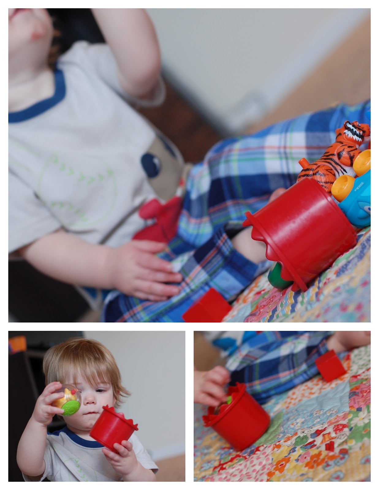 Life with the Little R's Blanket Training 101