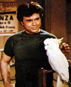 Kiwis Angels Baretta and Fred the cockatoo