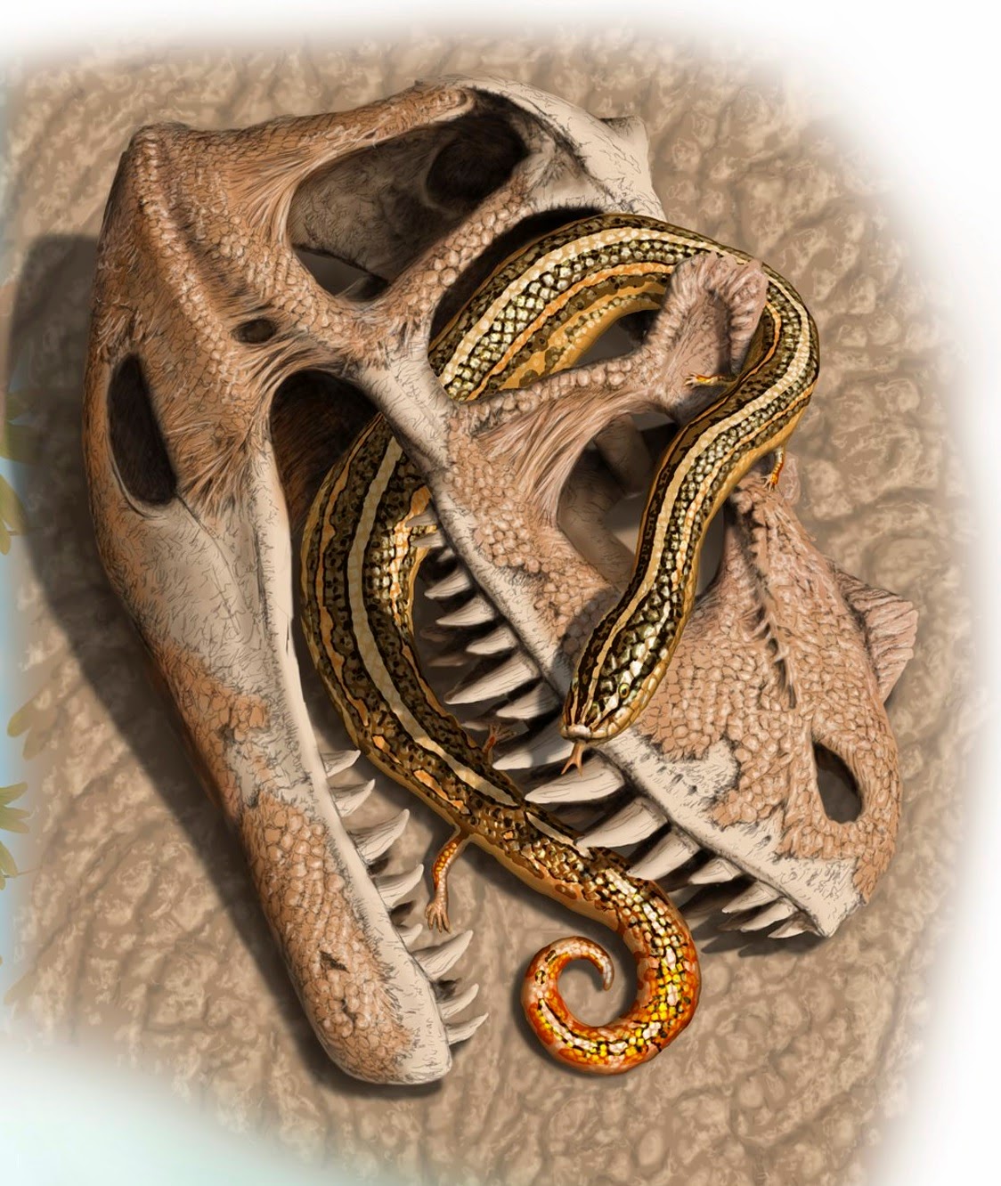 Species New to Science [Paleontology ??? 2015] The Oldest Known Snakes
