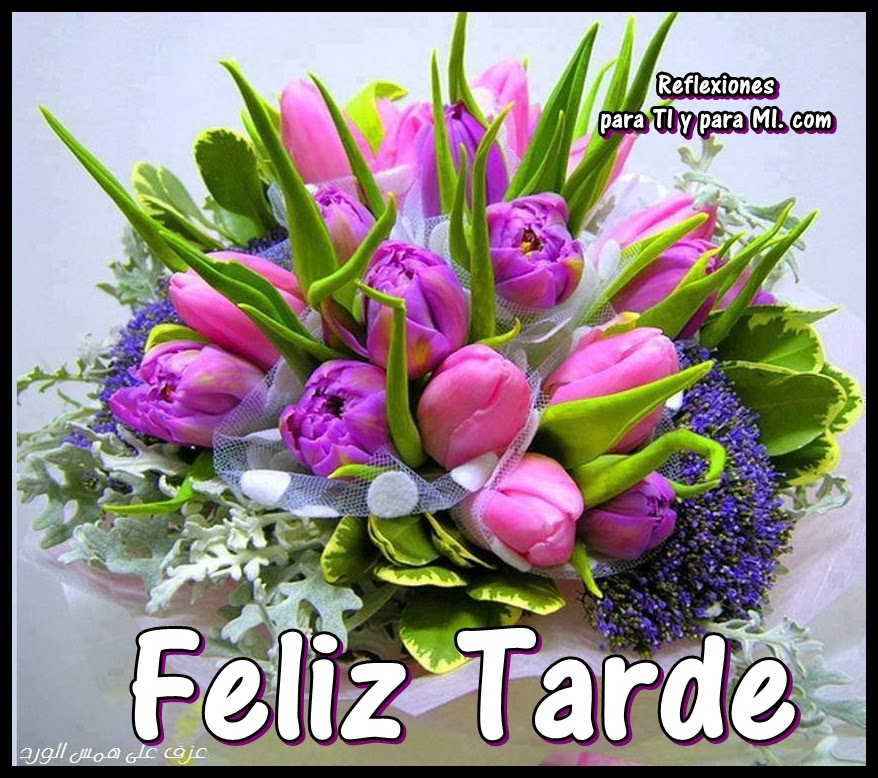 Image result for feliz tarde lunes