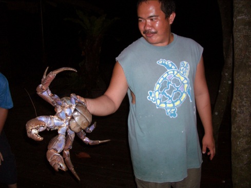 Crab Coconut