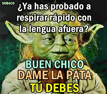 meme-chiste-respirar-lengua-afuera-2