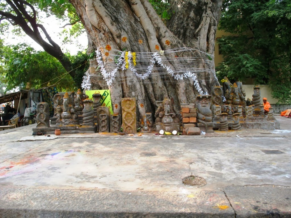 Raghu's column! With the most revered tree!