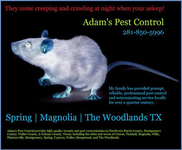 Pest Prevention The Woodlands TX Pest Control Spring TX