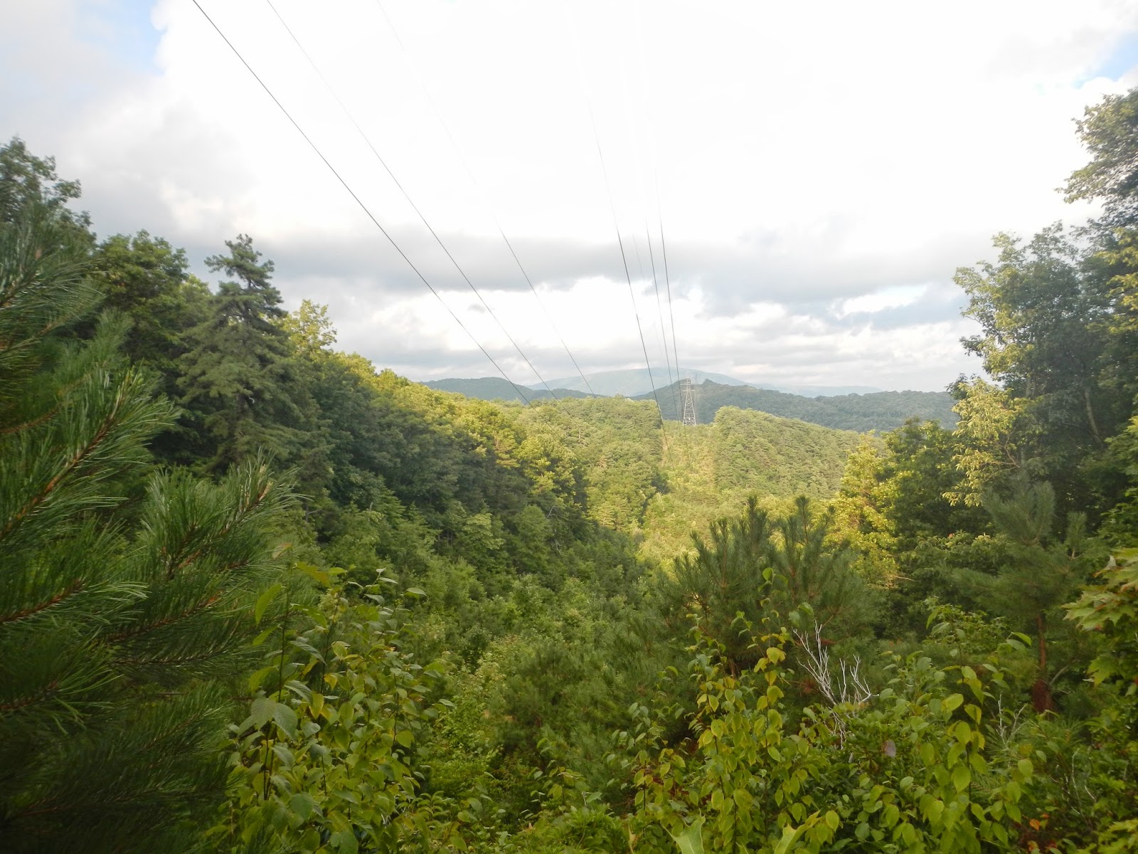 Pearisburg Appalachian Trail at Aileen Campbell blog