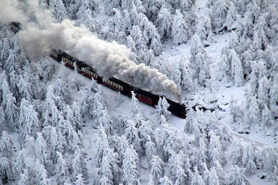 Train going through snowy trees in Germany