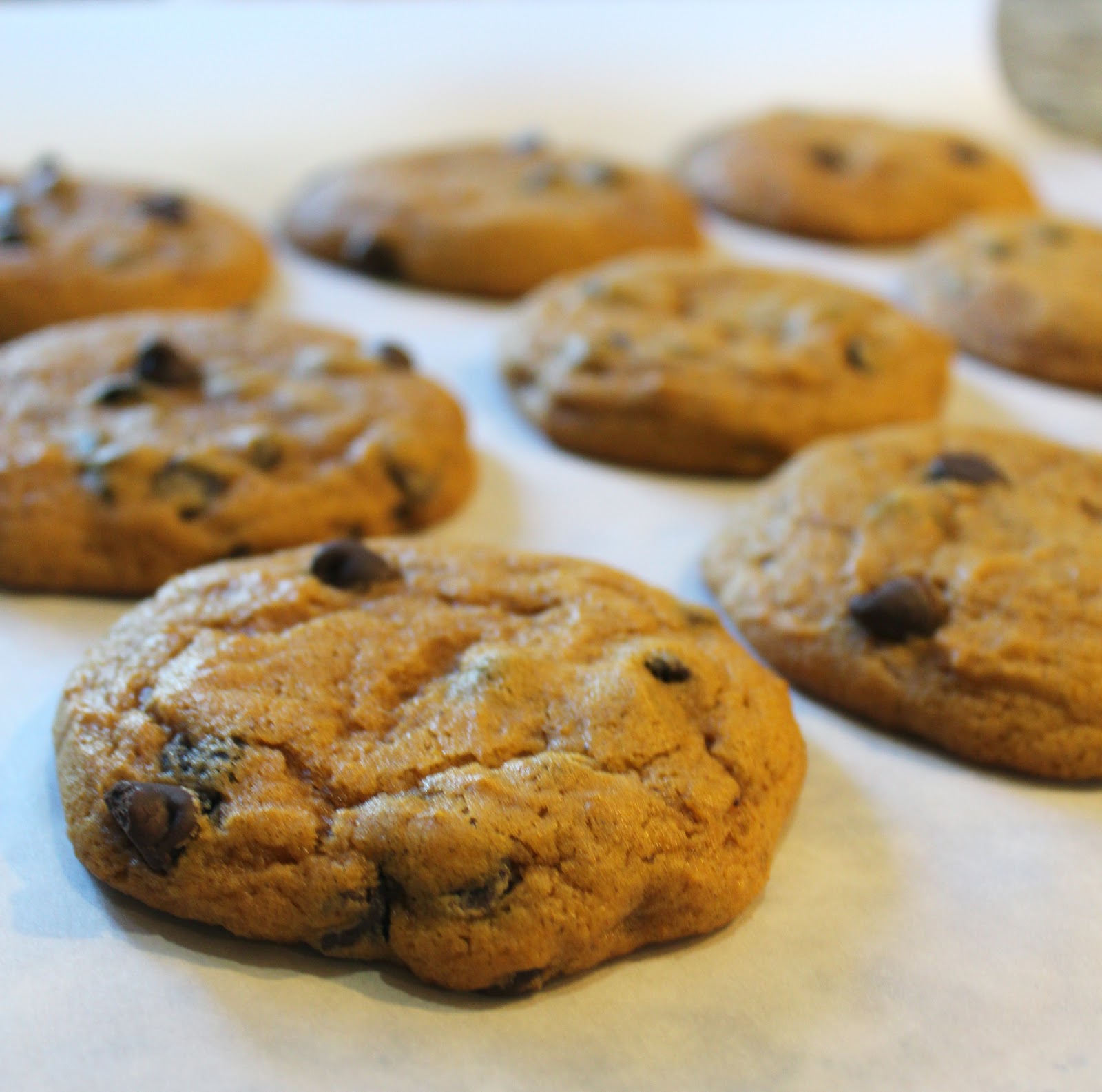 Sprinkle Some Sunshine! pumpkin chocolate chip cookies party!