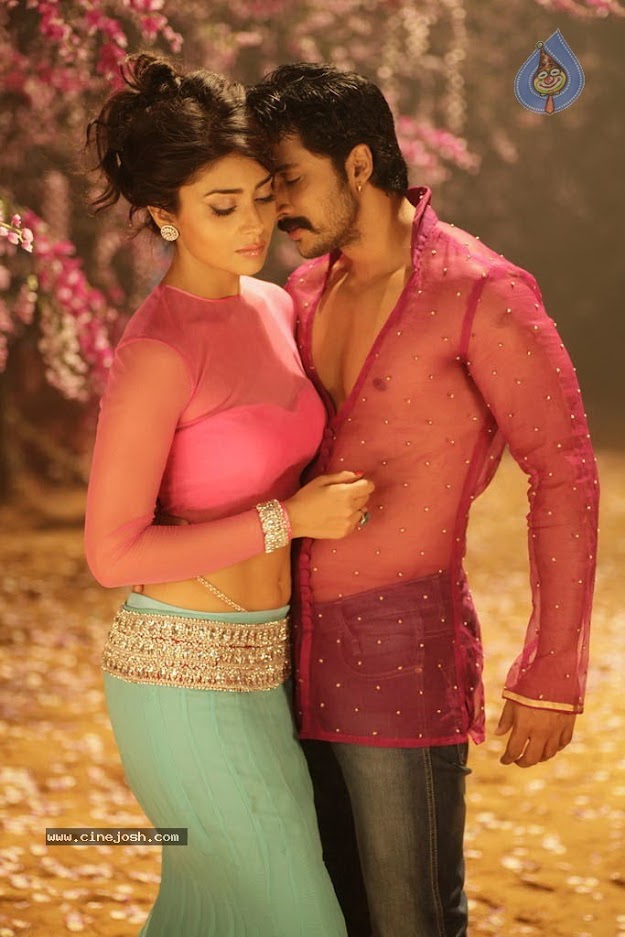 Shriya in a pink top  - (4) -  Shriya Saran Super hot photos from new movie Chandra