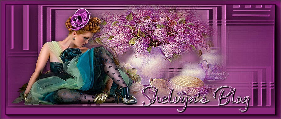 Shelvya's Blog