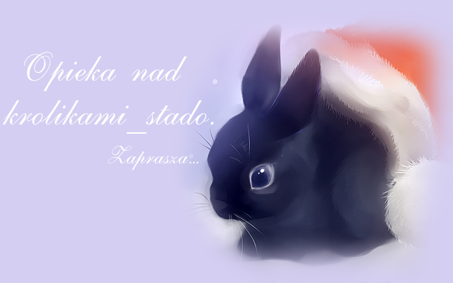 Opieka nad królikami_stado.